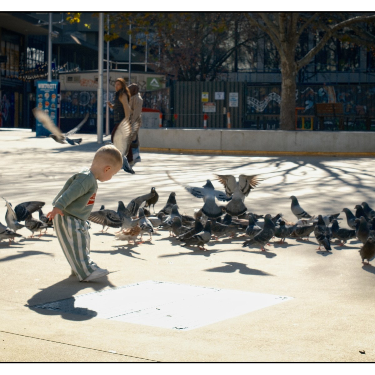 Away with the&nbsp;birds.
