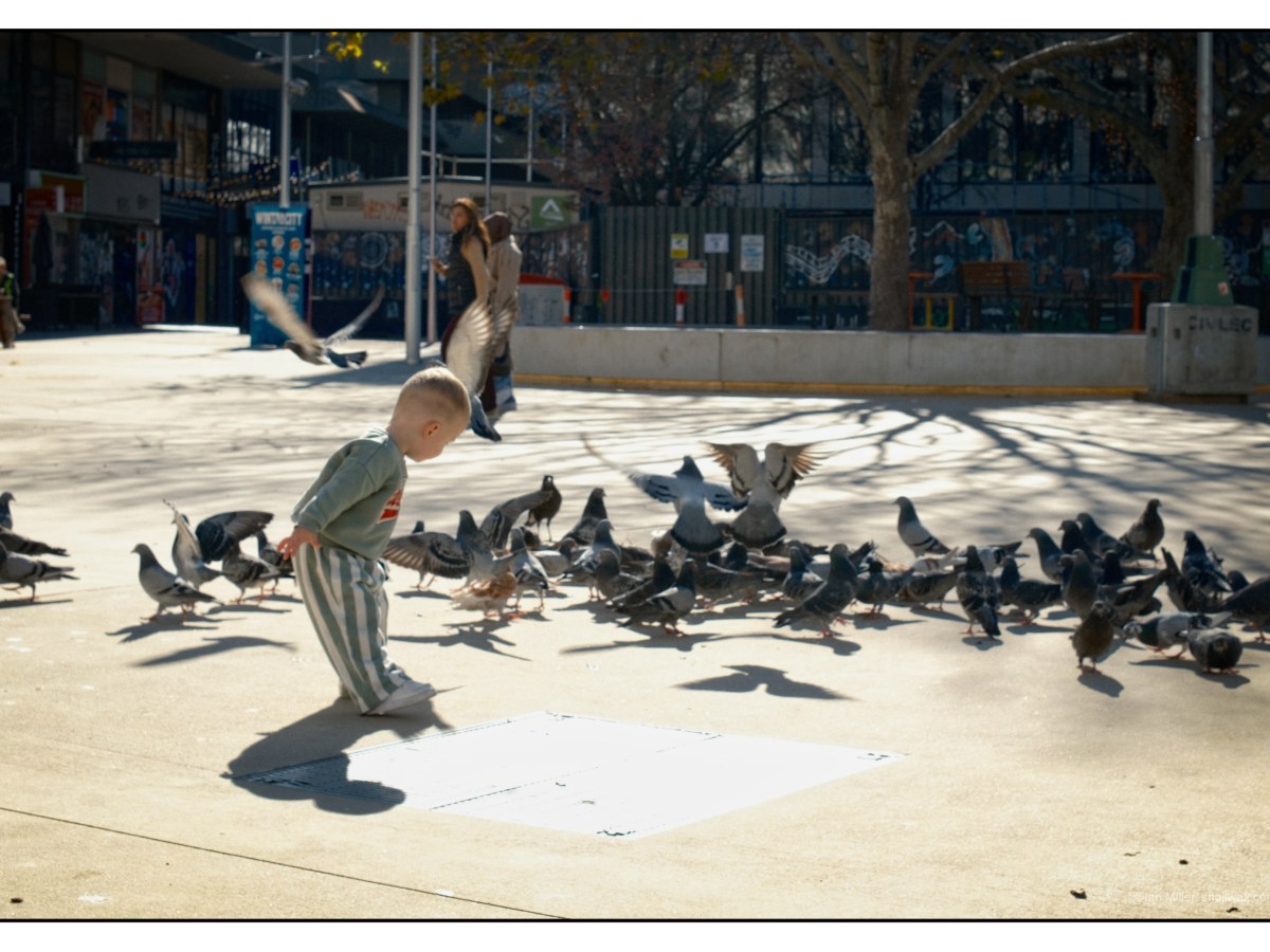 Away with the&nbsp;birds.