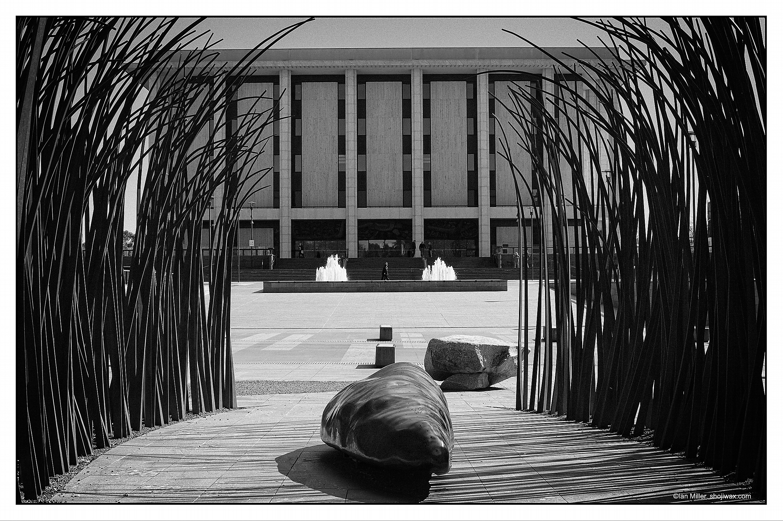 Monochrome photo of a large block building seen behind and through a metal sculpture of grasses.