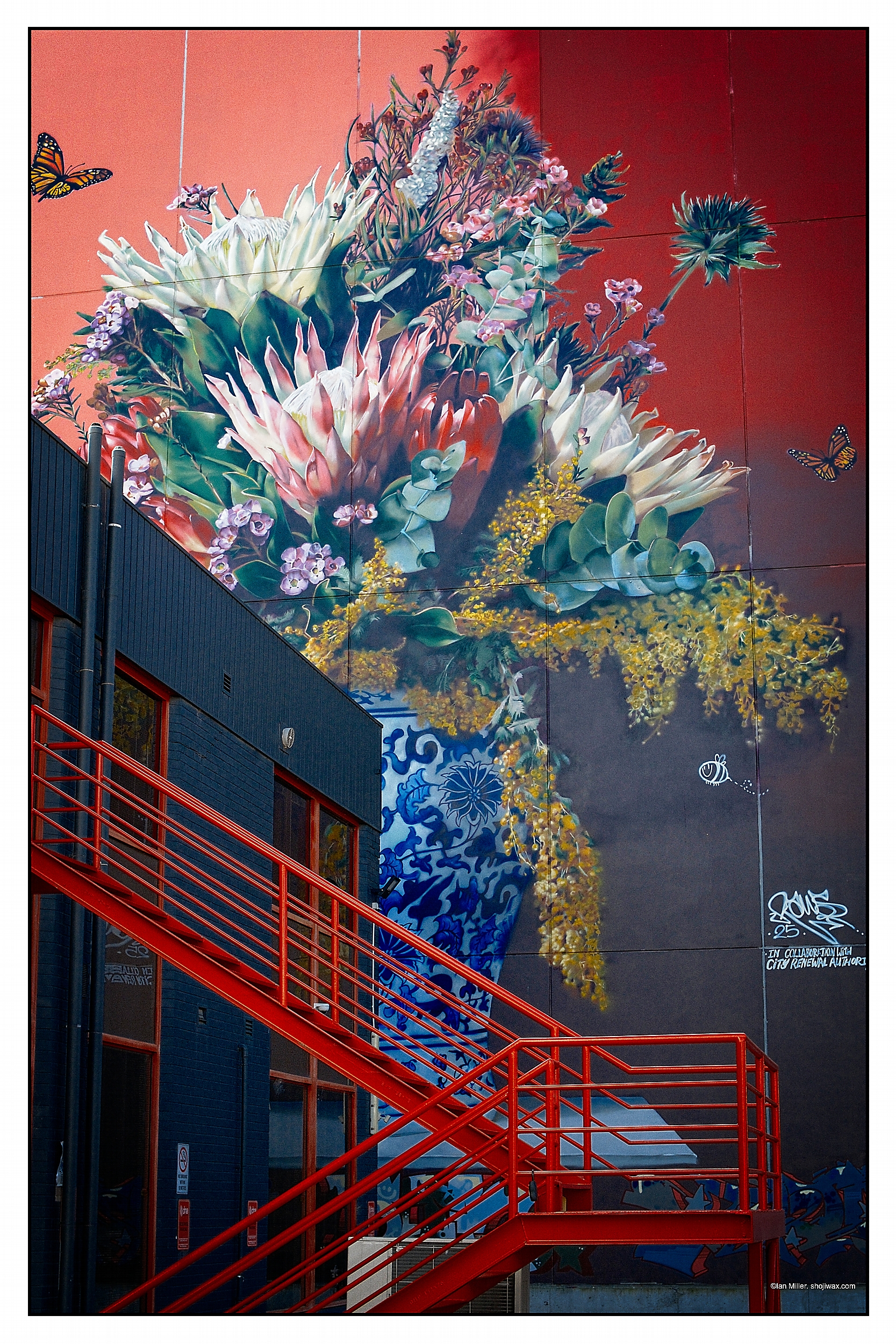 New street art in Braddon.