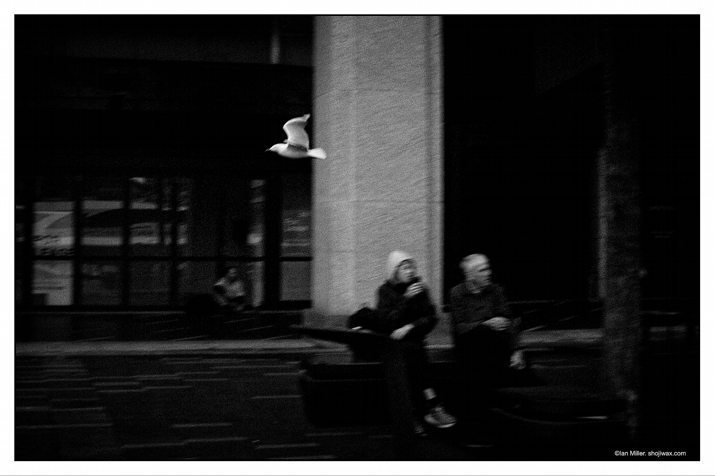 Monochrome blurred photo of a seagull flying above two people sitting on a bench.