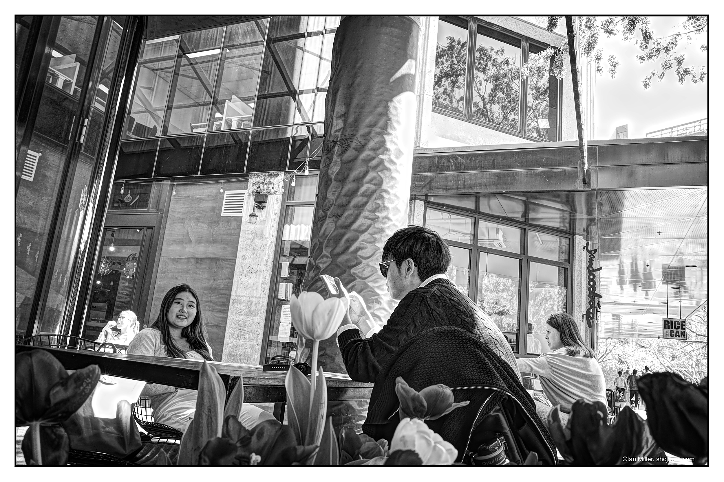 Monochrome photo of a couple having lunch. There are a row of tulips in the foreground.